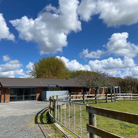 Unique Equestrian Lifestyle Bed and Breakfast Tamahere Eksteriør billede