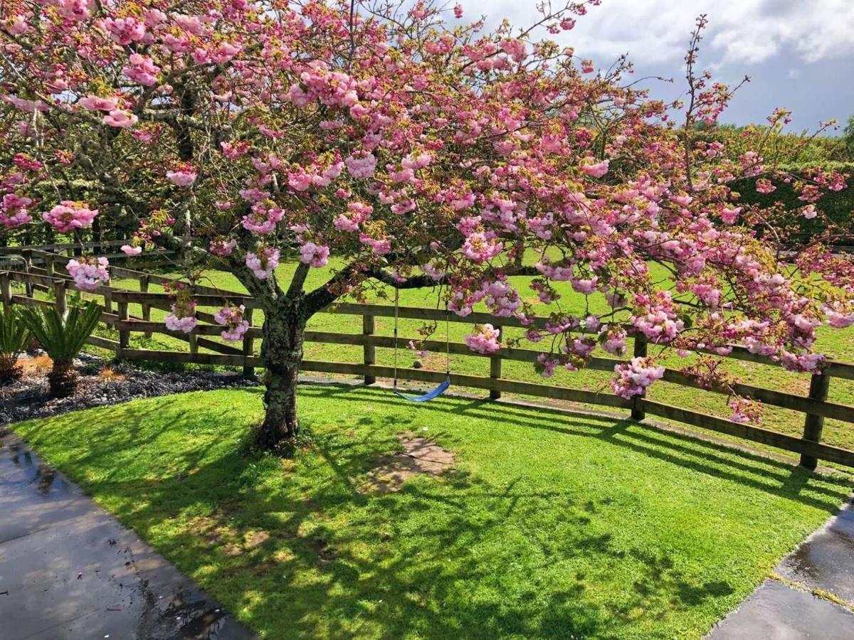 Unique Equestrian Lifestyle Bed and Breakfast Tamahere Eksteriør billede