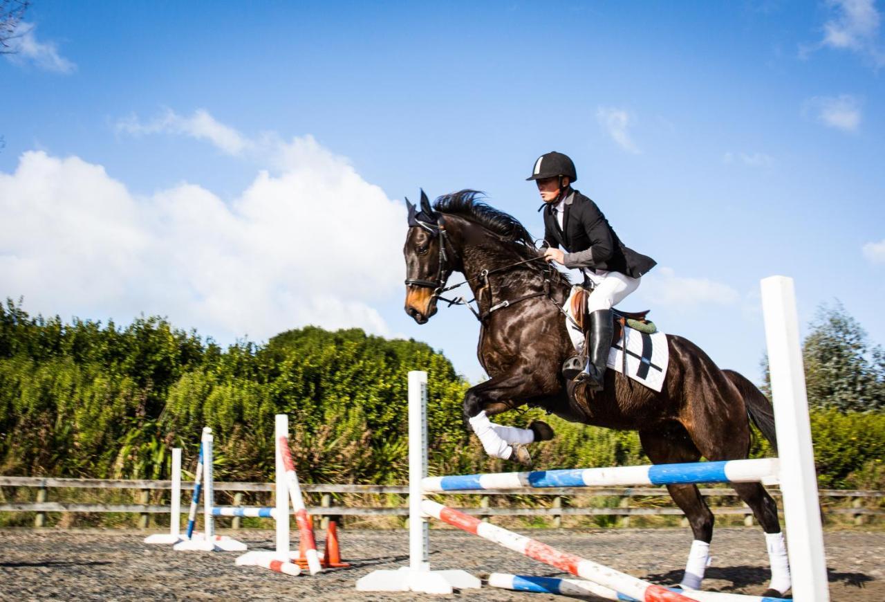 Unique Equestrian Lifestyle Bed and Breakfast Tamahere Eksteriør billede
