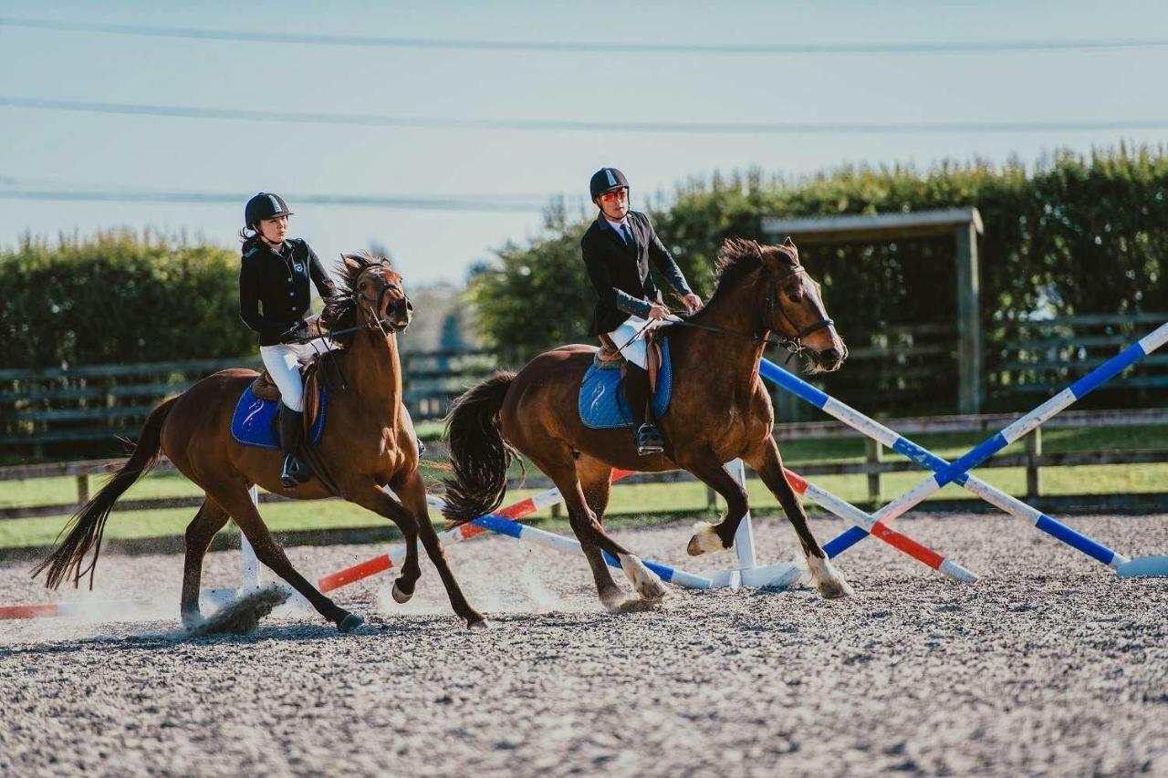 Unique Equestrian Lifestyle Bed and Breakfast Tamahere Eksteriør billede