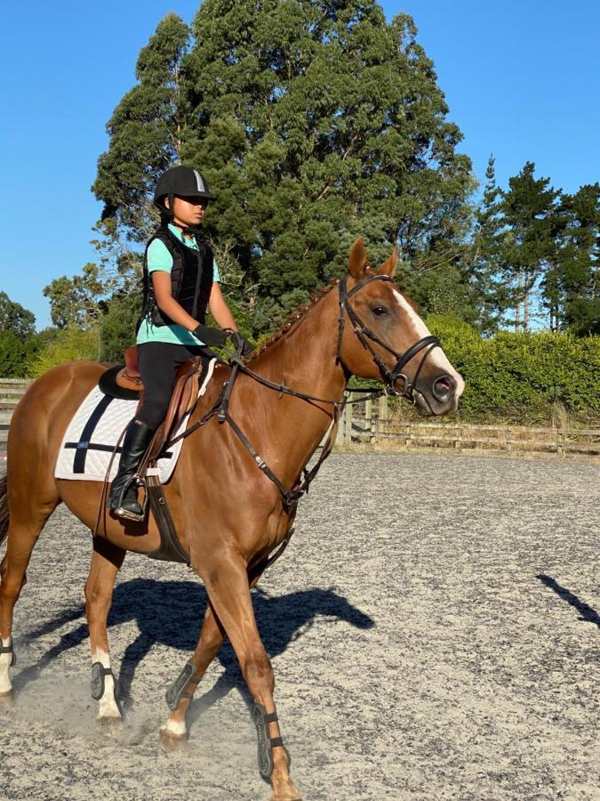 Unique Equestrian Lifestyle Bed and Breakfast Tamahere Eksteriør billede